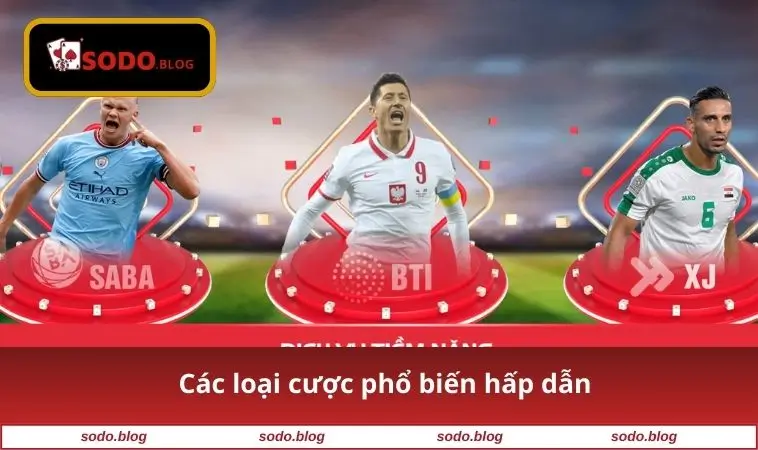 Các loại cược phổ biến hấp dẫn