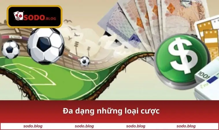 Trang Cá Độ Ra Kèo Như Thế Nào - Bí Quyết Thắng Cược Từ SODO 2 Đa dạng những loại cược