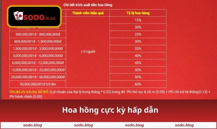 Hoa hồng cực kỳ hấp dẫn