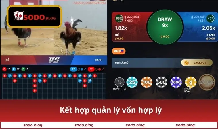 Kết hợp quản lý vốn hợp lý