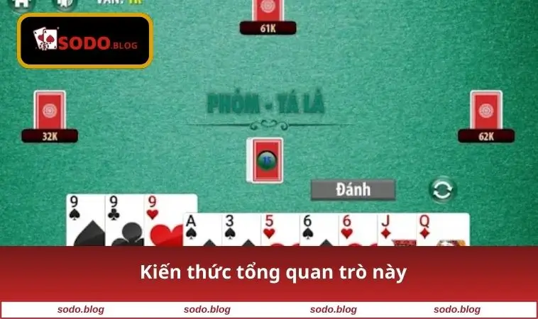 Kiến thức tổng quan trò này