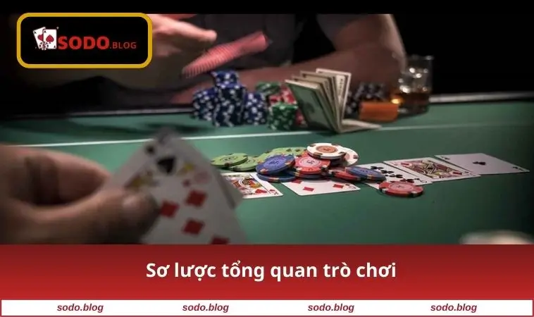Cách Chơi Poker - Bí Quyết Thắng Lớn Dành Cho Người Mới 1 Sơ lược tổng quan trò chơi