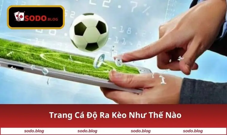 trang-ca-do-ra-keo-nhu-the-nao