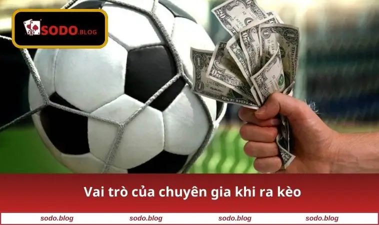 Trang Cá Độ Ra Kèo Như Thế Nào - Bí Quyết Thắng Cược Từ SODO 1 Vai trò của chuyên gia khi ra kèo